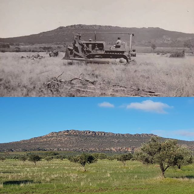 80 years since establishment - then and now