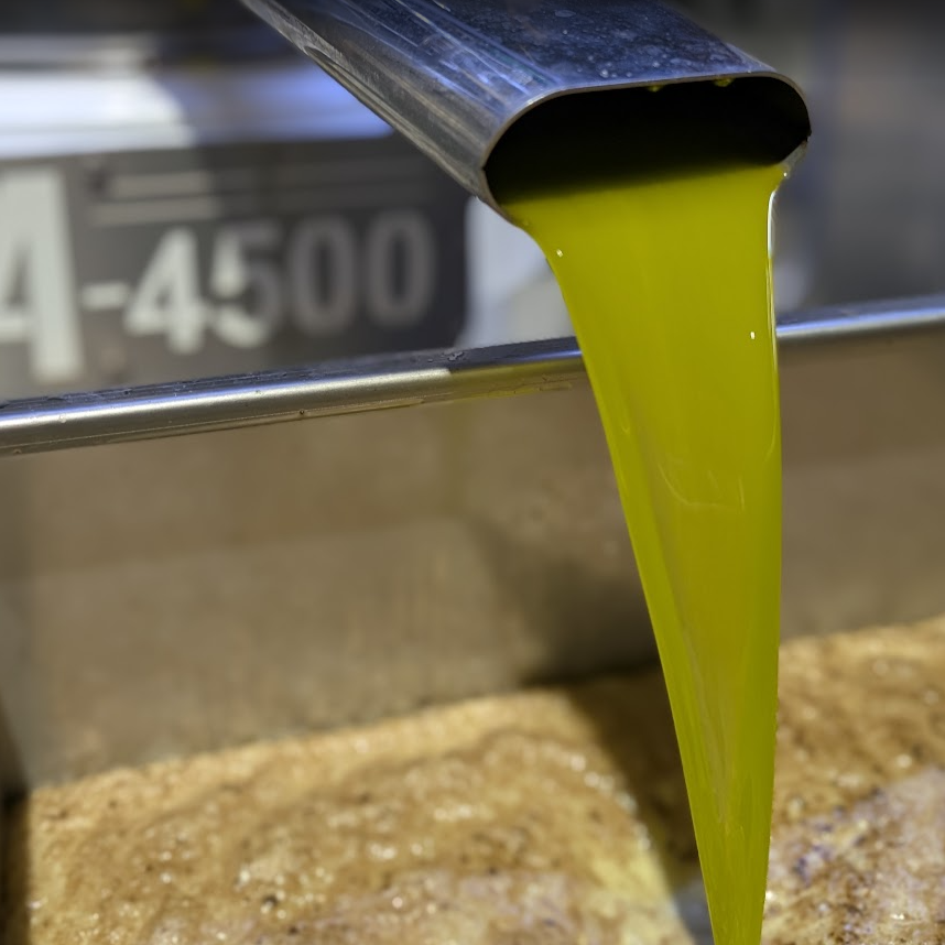 Three Gold Medals at the 2026 Australian Golden Olive Awards
