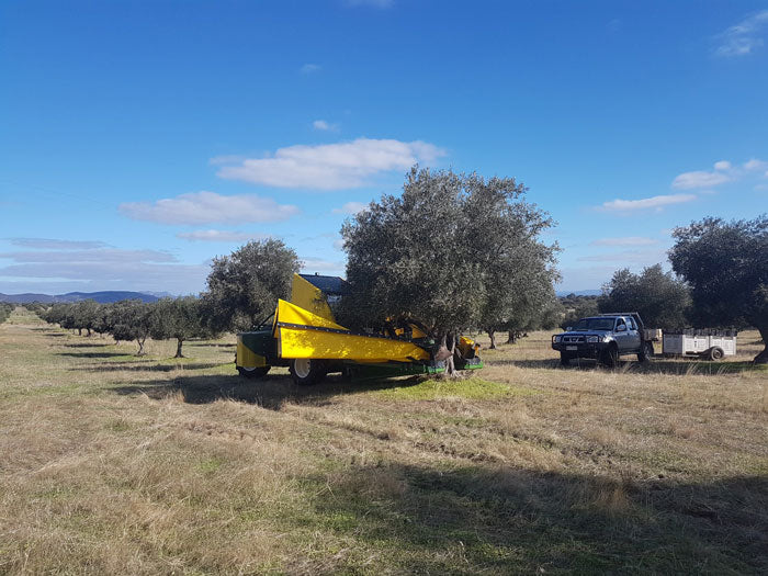 2017 harvest has begun!