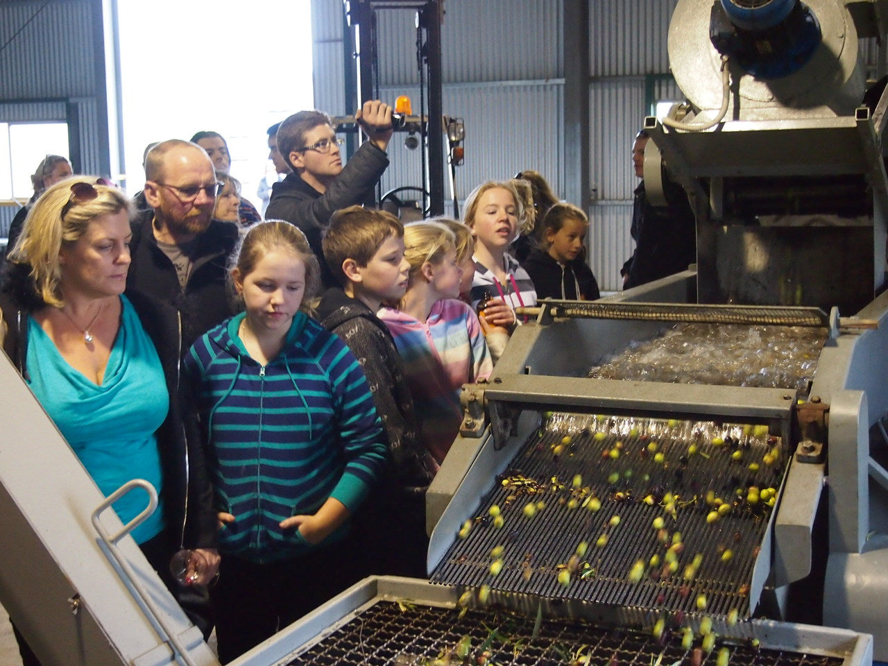 Tour of olive pressing plant