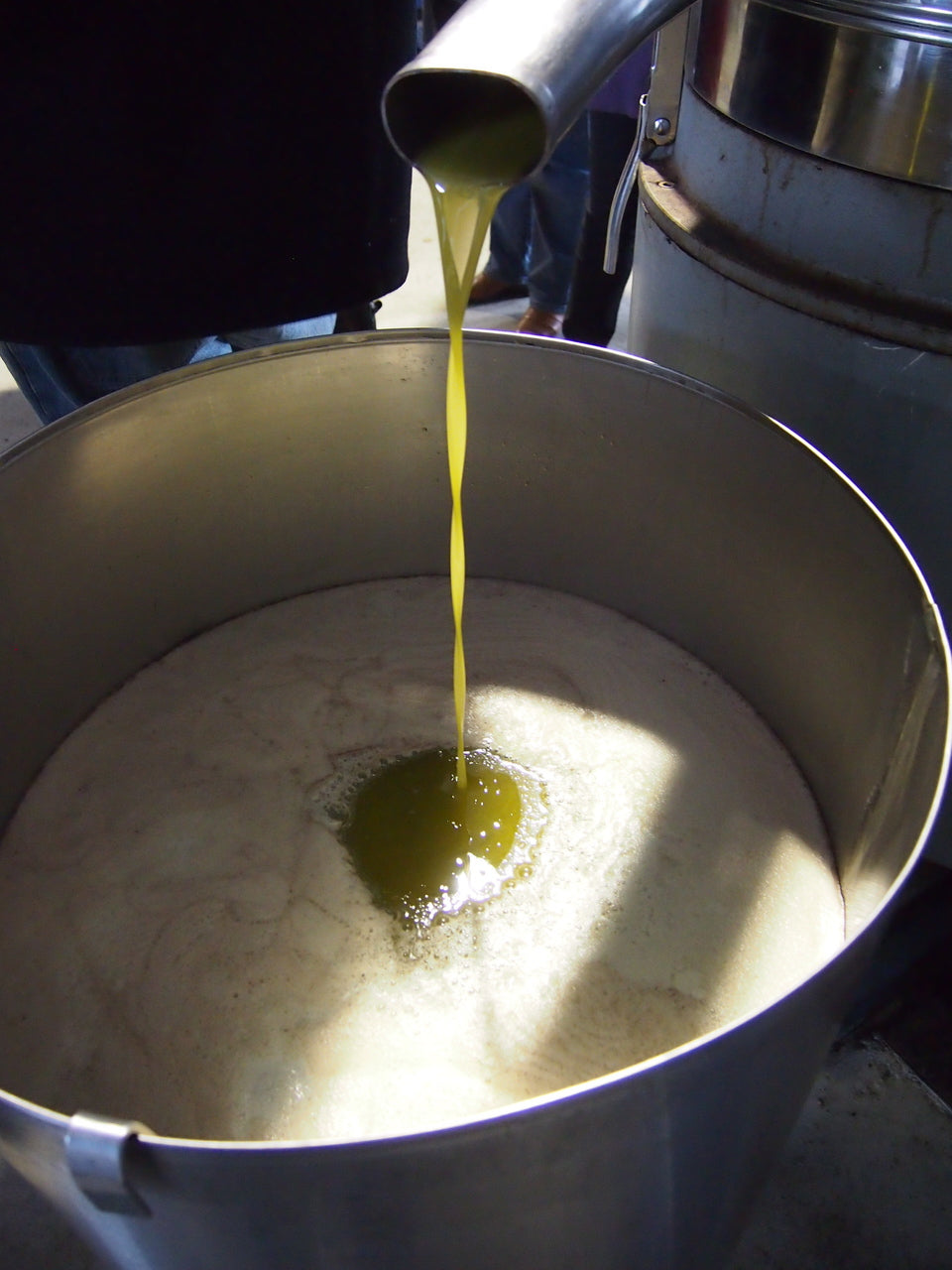 Olio nuovo - fresh pressed organic extra virgin olive oil