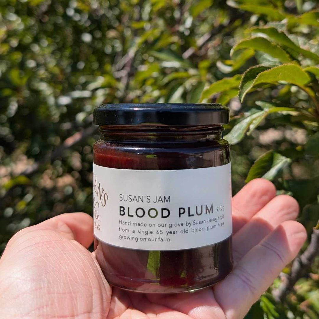 Hand holding a jar of 'Susan's Jam Blood Plum' with green foliage in the background
